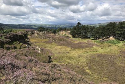 Ilkley Moor in West Yorkshire